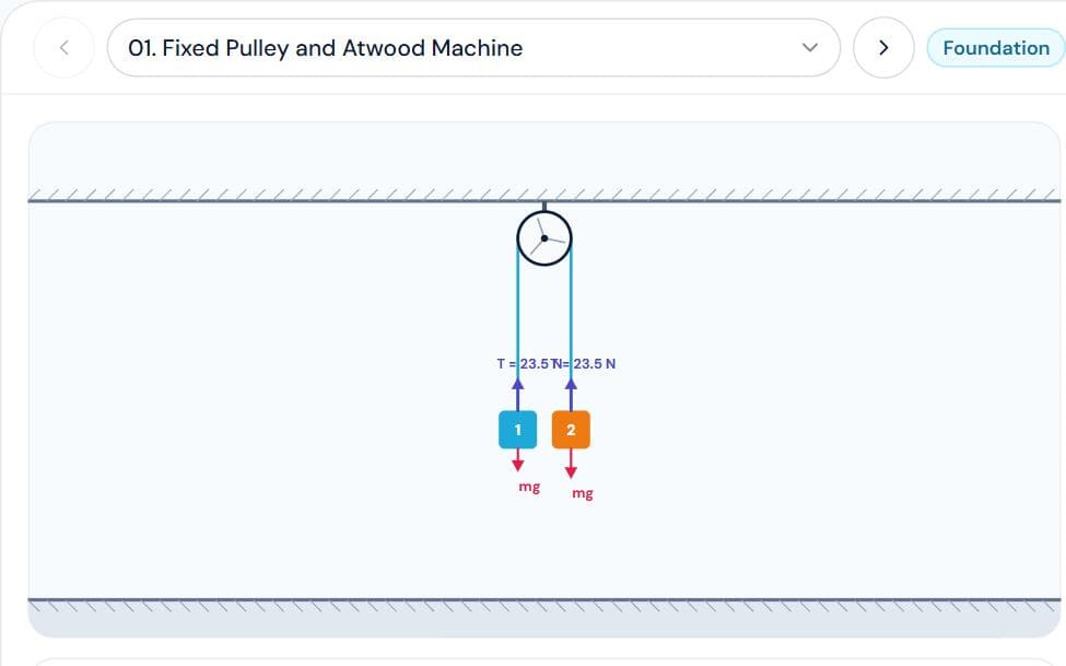 Pulley & Constraint Lab simulation